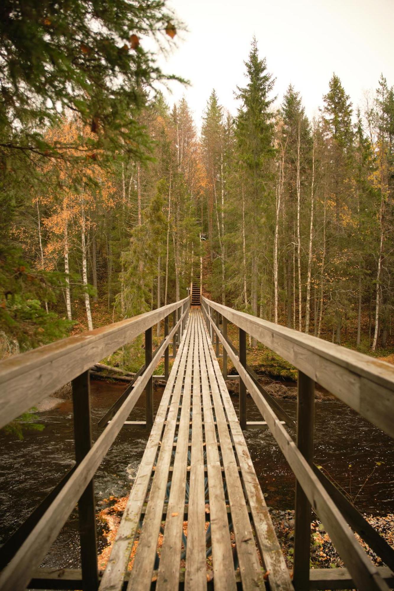 Langforsen Glamping & Lapland Experience Hotel Lapptrask Exterior foto