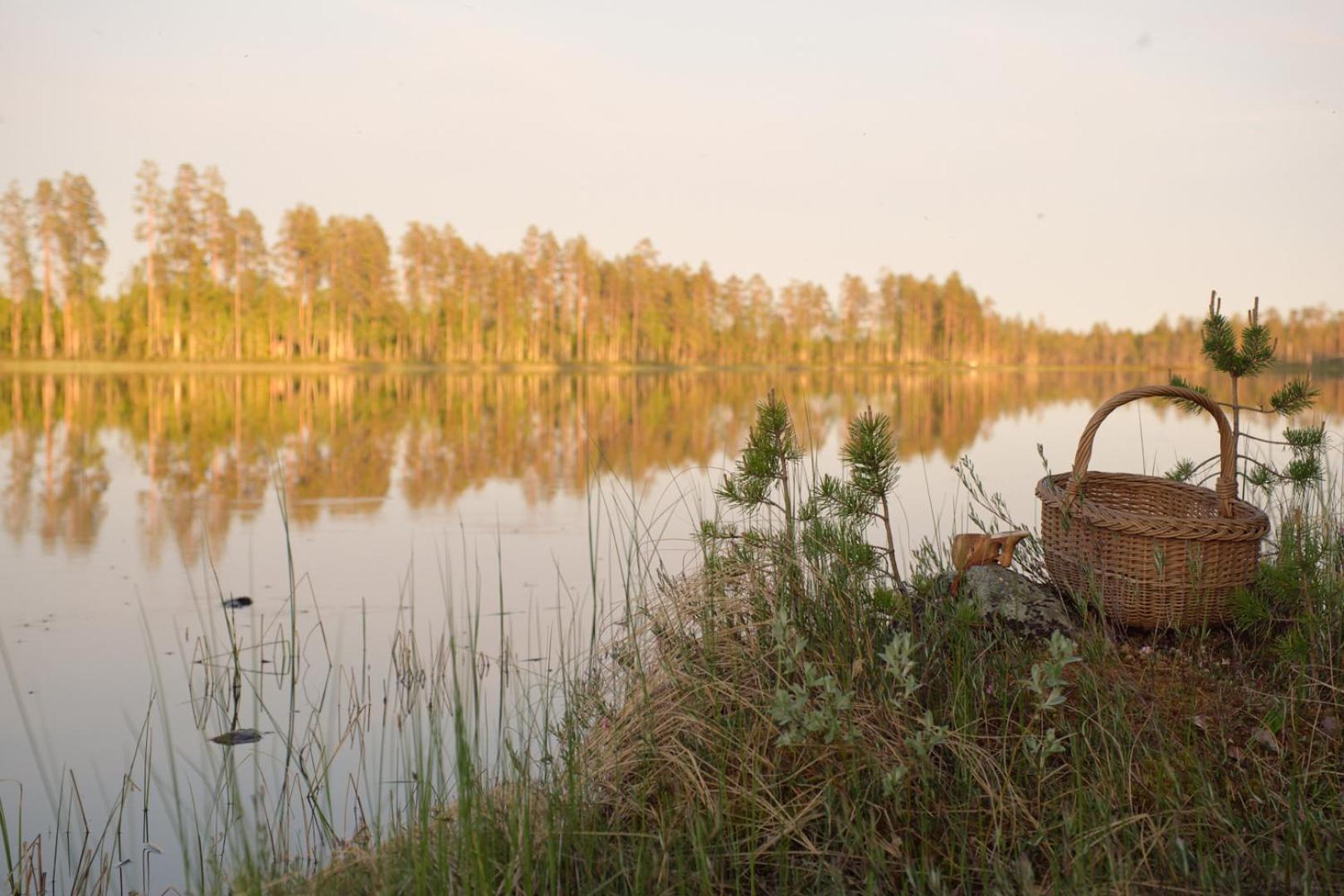 Langforsen Glamping & Lapland Experience Hotel Lapptrask Exterior foto